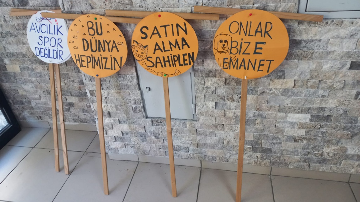 4 Ekim Hayvanları Koruma Günü          Dünyanın Sessiz Kahramanlarını Unutmayalım.